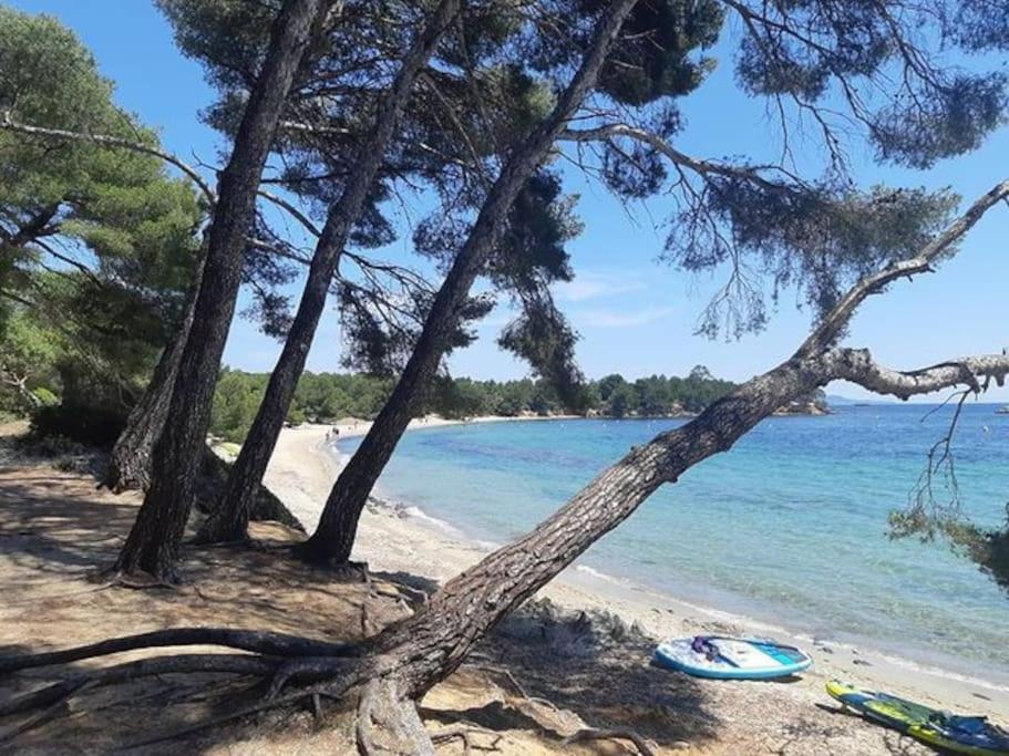 Studio Cabine Climatise 800 M De La Plage Et Des Commerces Bormes-les-Mimosas Esterno foto
